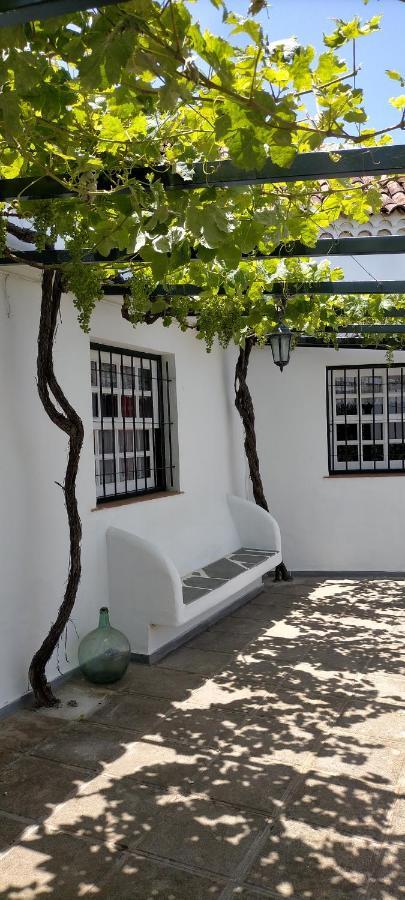 El Lagar De Piedra Villa San Juan de la Rambla Exterior photo